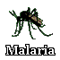 Link to Malaria information at www.toursa.com