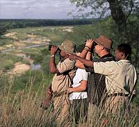 Safari Guide